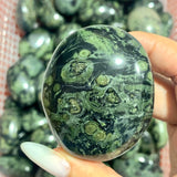 Kambaba Jasper Palm Wholesale