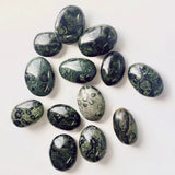 Kambaba Jasper Palm Wholesale