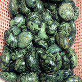 Kambaba Jasper Palm Wholesale
