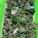 Green Jade Frog Riding Motorcycle Crystal Carving Wholesale