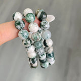 5Pcs Tree Moss Agate Crystal Bracelet Wholesale